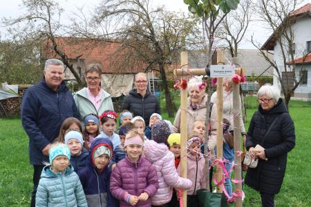 Posaditev  rožnatega drevesa v Pocinovem vrtu 21 Foto Ljubo Vukelič